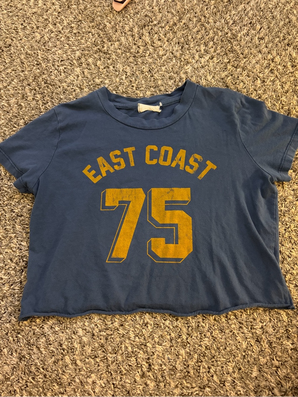 Altar'd State Blue Crop Top with Yellow 'East Coast 75' Graphic